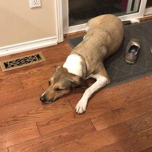 Meet your Posher, Brigitte